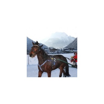 01. Pferderennen Mayrhofen